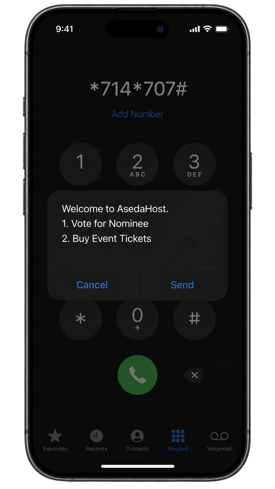 Mobile USSD Voting Guide